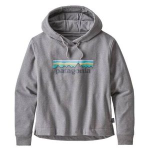 Patagonia sweatshirt